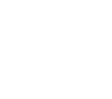 MSA Tigers